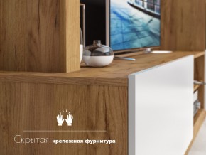 Гостиная Флекс в Верхнем Уфалее - verhnij-ufalej.mebel74.com | фото 4