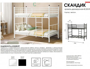 Кровать двухъярусная Скандик 42.20-01 в Верхнем Уфалее - verhnij-ufalej.mebel74.com | фото 2