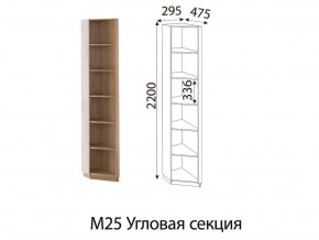 М25 Угловая секция в Верхнем Уфалее - verhnij-ufalej.mebel74.com | фото