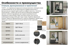 Прихожая Санти Антрацит в Верхнем Уфалее - verhnij-ufalej.mebel74.com | фото 5