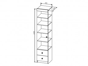 Шкаф Сканди ШД450.1 в Верхнем Уфалее - verhnij-ufalej.mebel74.com | фото 2